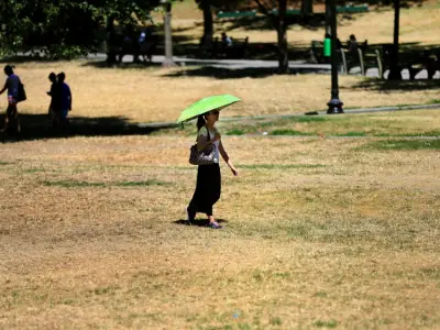 Here’s what Boston meteorologists are saying about scattered storms, ‘dangerous heat’ ahead