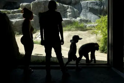 Inside the L.A. Zoo's messy $50-million breakup