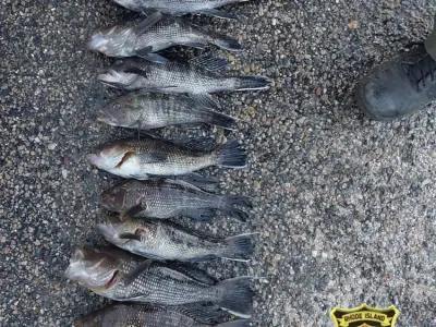 R.I. officials nab alleged undersized fish poachers from Mass.