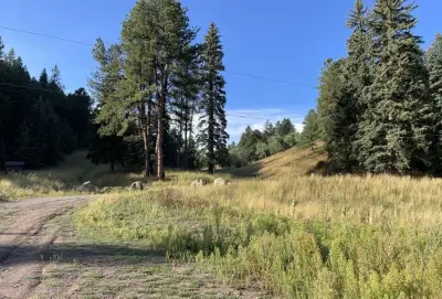 Neighbor says possible Native American burial site should stop subdivision