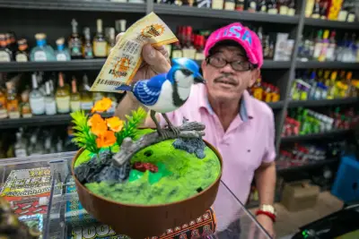 Feeling lucky? Mega Millions jackpot jumps to $965 million for this Friday's drawing