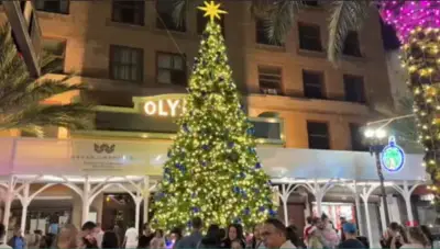 Miami Downtown Development Authority kicks off holiday season with Christmas tree lighting