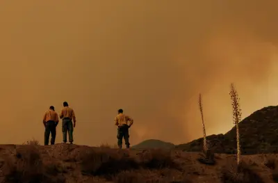 California's 2025 wildfire season was already going to be dangerous. Trump has made it worse