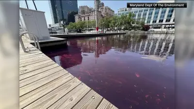 Crews clean up 2,000-gallon fuel spill in Baltimore’s harbor