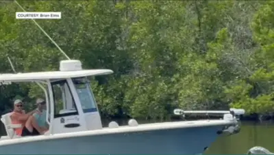 Man says he witnessed boater plowing through group of manatees near Cape Coral