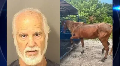 Boca Raton man arrested after deputies find malnourished, injured horses in ‘deplorable’ conditions, authorities say
