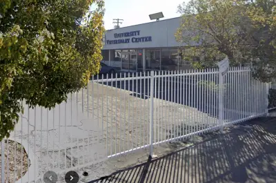 Woman accused of throwing malnourished poodle over 8-foot fence of vet clinic