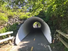 Brewster woman impaled by e-bike rider wants stricter rules. Do you agree?