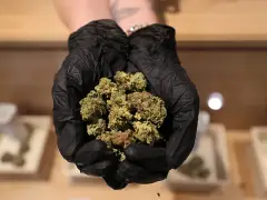 Mass. House legislation proposes to overhaul the Cannabis Control Commission