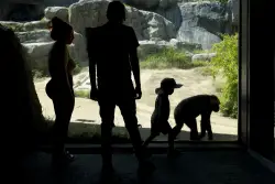 Inside the L.A. Zoo's messy $50-million breakup