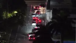 40th CAMACOL food distribution kicks off at loanDepot Park; drivers wait over 12 hours to receive holiday baskets