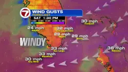 Big Breeze All Weekend
