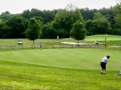 Mass. man reports being shot with pellet gun while golfing