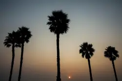 Manhattan Beach Middle School students reportedly involved in brutal assault on Hermosa man