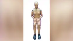 A new crash test dummy that better resembles women gets key government endorsement