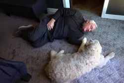 Lopez: Up from the ashes: How fire survivors rebuilt in time to get home for Thanksgiving