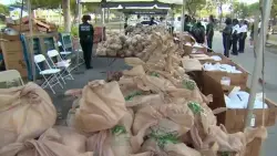 ‘Giving out a whole bunch of love’: Food distribution draws families in need to Gwen Cherry Park ahead of Thanksgiving