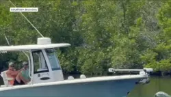 Man says he witnessed boater plowing through group of manatees near Cape Coral