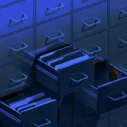 Lethal Illusion: Understanding the Death Penalty Apparatus