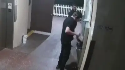 Thieves target mailboxes at Sunrise apartment complex; US Postal Inspection Service offering up to $100K reward for information
